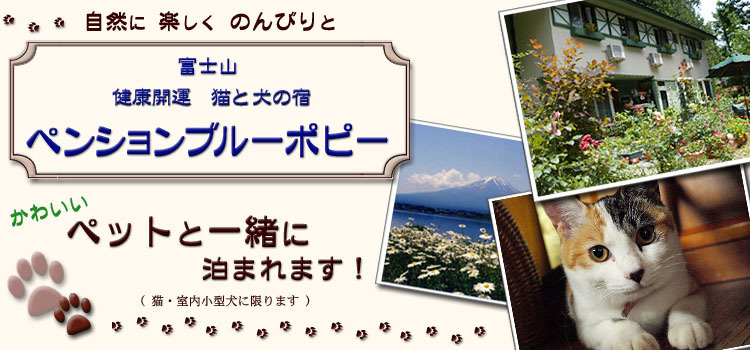 富士山　健康開運 猫と犬の宿ペンション　ブルーポピーはペットと一緒に泊まれます